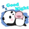 Sweet panda & honey pig 🫧🐼🐷 28