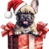 Perritos Navideños🎄💞1🇵🇪Clásica 28