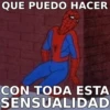 SPIDERMAN MEMARDOS 27