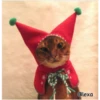 =💚❤️Gatitos Navideños❤️💚= 29