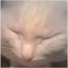 -_- 29