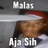 kepunyaan reno 1