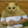 kittys 5