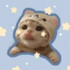 Gatitos Cute😻1🇲🇽Clásica 6
