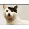 New 14 5