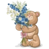 Flowers 4 6