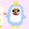 Gatitos Cute😻1🇲🇽Clásica 8