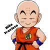 Dragon Ball 10