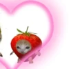 Gatitos Cute😻1🇲🇽Clásica 9