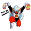 Dragon Ball 12