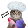 Gatitos 5