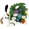 Flowers 4 9