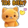 Gatito naranjito 🍊💛 7