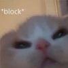 kittys 9
