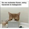 ANIMALITOS 3 12