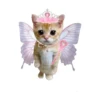Gatitos Cute😻1🇲🇽Clásica 13