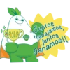 Mr Rainbow Agro 3 12