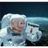 🐒 Muy monitos 🐒 10