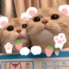 Gatitos Cute😻1🇲🇽Clásica 14