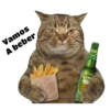 Gatitos 9