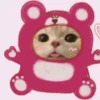 Gatitos Cute😻1🇲🇽Clásica 15