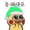 Chicksmas 5