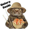 Gatitos 10