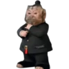 🐒 Muy monitos 🐒 11