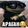 kepunyaan reno 6