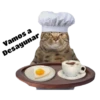 Gatitos 11