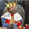 🐒 Muy monitos 🐒 13