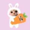 Gatitos Cute😻1🇲🇽Clásica 19