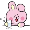 BT21 Baby My Little Buddy 12
