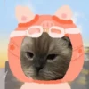 Gatitos Cute😻1🇲🇽Clásica 21