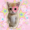 Gatitos Cute😻1🇲🇽Clásica 22