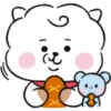 BT21 Baby My Little Buddy 14