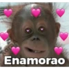 🐒 Muy monitos 🐒 15