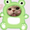Gatitos Cute😻1🇲🇽Clásica 23