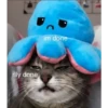 kittys 22