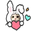Gatitos Cute😻1🇲🇽Clásica 24