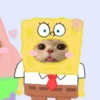 Gatitos Cute😻1🇲🇽Clásica 25