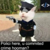 hyper_cats 18