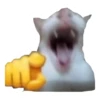 CAT REACTIONS 15