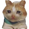 New 99 22