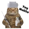 Gatitos 14