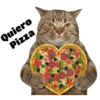 Gatitos 15