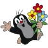 Flowers 4 21