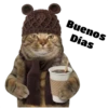 Gatitos 18