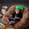 🐒 Muy monitos 🐒 18