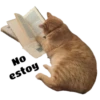 Gatitos 20
